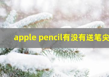 apple pencil有没有送笔尖